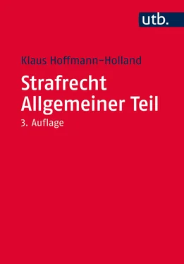 Klaus Hoffmann-Holland Strafrecht Allgemeiner Teil обложка книги