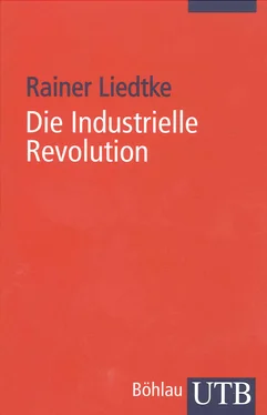 Rainer Liedtke Die Industrielle Revolution обложка книги