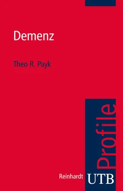 Theo R. Payk Demenz обложка книги