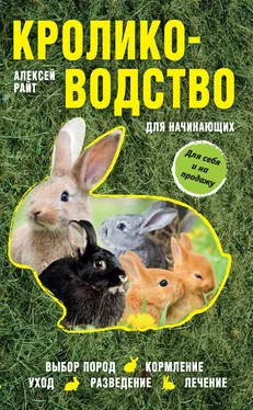 Алексей Райт Кролиководство для начинающих обложка книги