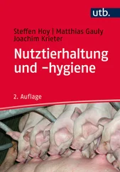 Steffen Hoy - Nutztierhaltung und -hygiene