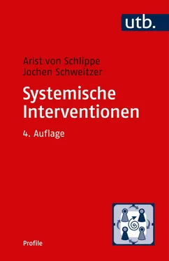 Jochen Schweitzer Systemische Interventionen обложка книги