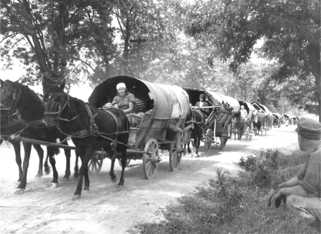 Abb 4Ein Flüchtlingstreck nach Deutschland im Juli 1944 Quelle Bundesarchiv - фото 6