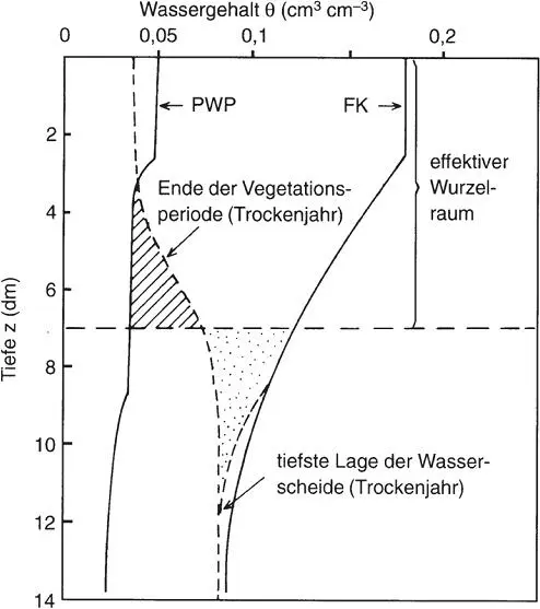 Der Verlauf der aktuellen Bodenfeuchte zeigt dass im Oberboden der - фото 66