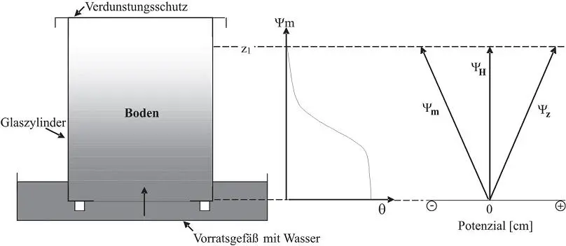 Box 53 Messung des Matrixpotenzials Zur Bestimmung des - фото 70