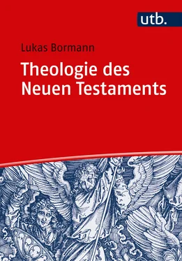 Lukas Bormann Theologie des Neuen Testaments обложка книги