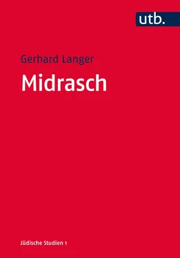 Gerhard Langer Midrasch обложка книги