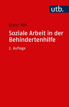 Dieter Röh Soziale Arbeit in der Behindertenhilfe обложка книги