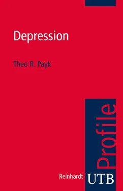 Theo R. Payk Depression обложка книги