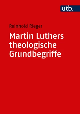 Reinhold Rieger Martin Luthers theologische Grundbegriffe обложка книги