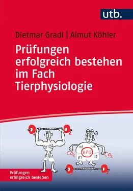 Dietmar Gradl Prüfungen erfolgreich bestehen im Fach Tierphysiologie обложка книги