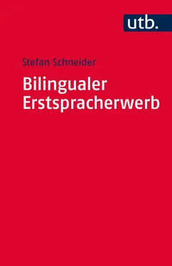 Stefan Schneider Bilingualer Erstspracherwerb обложка книги