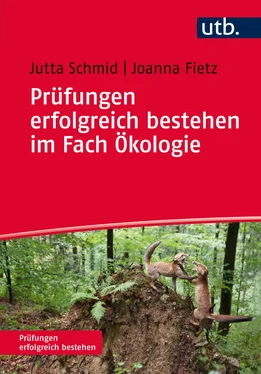 Jutta Schmid Prüfungen erfolgreich bestehen im Fach Ökologie обложка книги