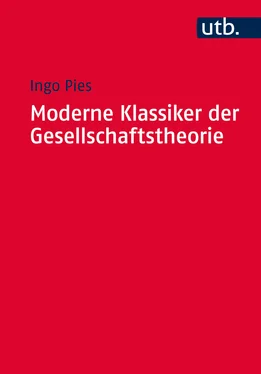 Ingo Pies Moderne Klassiker der Gesellschaftstheorie обложка книги