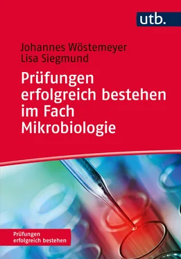 Johannes Wöstemeyer Prüfungen erfolgreich bestehen im Fach Mikrobiologie обложка книги