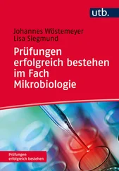Johannes Wöstemeyer - Prüfungen erfolgreich bestehen im Fach Mikrobiologie