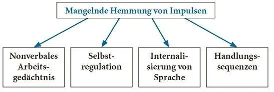 Abb 4 Neuropsychologische Faktoren zur Verursachung der ADHS nach Barkley - фото 6