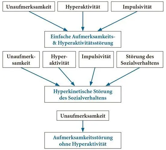 Abb 2 ADHSDiagnosen nach ICD10GM WHO 2009 Für viele Kinder mit ADHS - фото 4