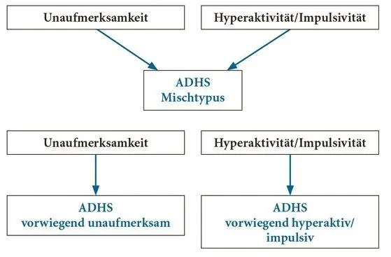 Abb 1 ADHSDiagnosen nach DSMIVTR APA 2008 signifikante - фото 3