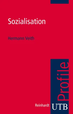 Herrmann Veith Sozialisation обложка книги