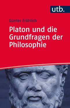 Günter Fröhlich Platon und die Grundfragen der Philosophie обложка книги