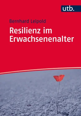 Bernhard Leipold Resilienz im Erwachsenenalter обложка книги