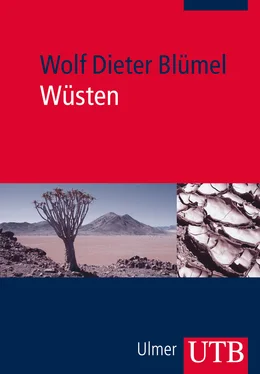 Wolf Dieter Blümel Wüsten обложка книги