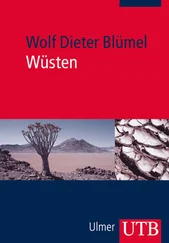 Wolf Dieter Blümel - Wüsten