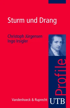 Christoph Jürgensen Sturm und Drang обложка книги