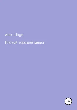 Alex Linge Плохой хороший конец обложка книги