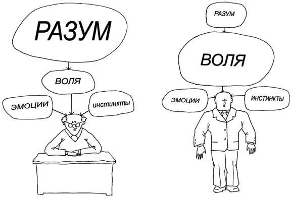Например человек может быть очень рассудительным но безвольным То есть Разум - фото 6