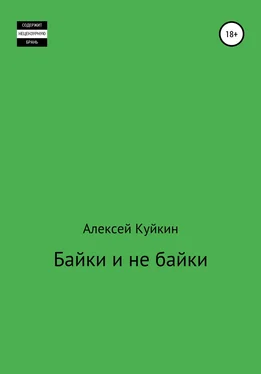 Алексей Куйкин Байки и не байки обложка книги