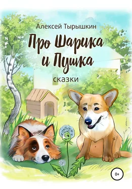 Алексей Тырышкин Про Шарика и Пушка обложка книги