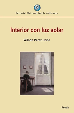Wilson Pérez Uribe Interior con luz solar обложка книги
