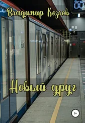 Владимир Козлов - Новый друг