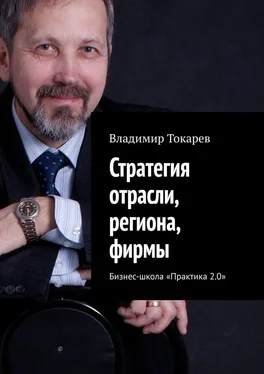 Владимир Токарев Стратегия отрасли, региона, фирмы. Бизнес-школа «Практика 2.0» обложка книги