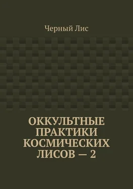 Черный Лис Оккультные практики космических лисов – 2 обложка книги