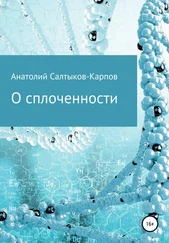 Анатолий Салтыков-Карпов - О сплоченности