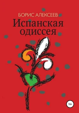 Борис Алексеев Испанская одиссея обложка книги