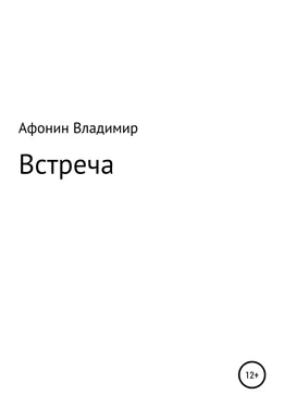 Владимир Афонин Встреча обложка книги