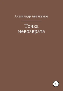 Александр Аввакумов Точка невозврата обложка книги