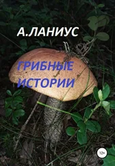 Ланиус Андрей - Грибные истории