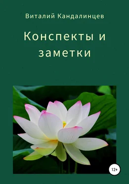 Виталий Кандалинцев Конспекты и заметки обложка книги