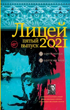 Таша Соколова Лицей 2021. Пятый выпуск обложка книги