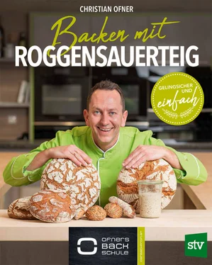 Christian Ofner Backen mit Roggensauerteig обложка книги