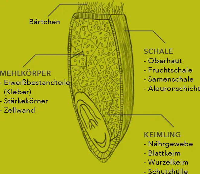 VORDEPOT EINES SCHROTWALZENSTUHLS OBEN BZW EINES GRIESSWALZEN - фото 19