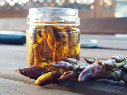 Pappelknospentinktur Pappelknospentinktur als natürliches Propolis 2 EL - фото 69