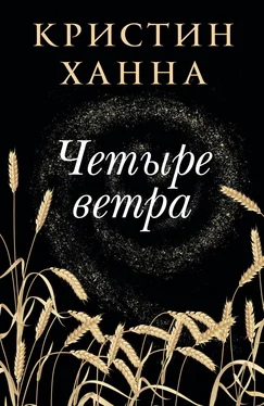 Кристин Ханна Четыре ветра обложка книги