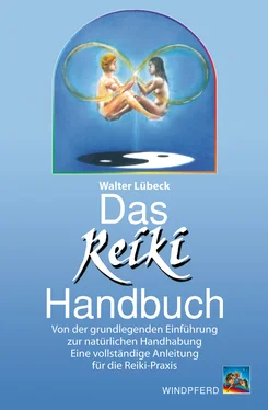 Walter Lübeck Das Reiki-Handbuch обложка книги