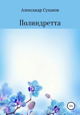 Александр Суханов Полиндретта обложка книги